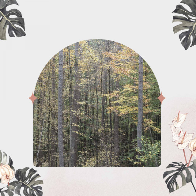 Jazz with Strings (Music for Spring Rest)
