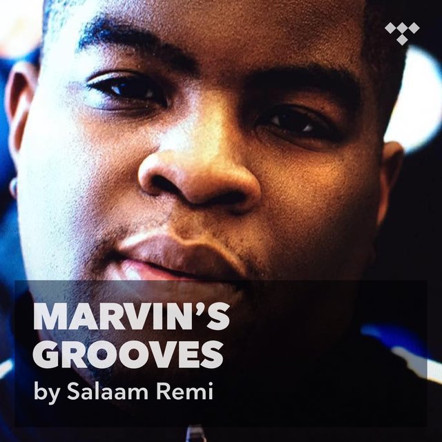 Salaam Remi: Marvin's Grooves