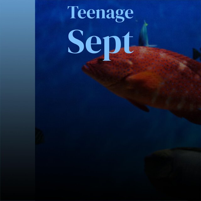 Teenage Sept