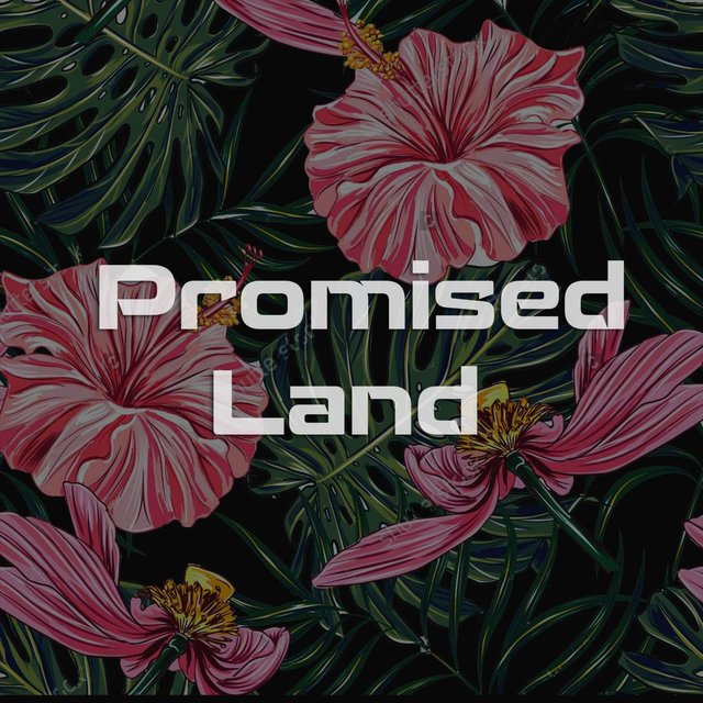 Promised Land