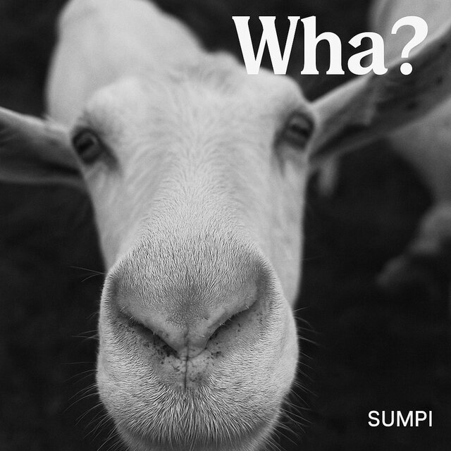 Wha?