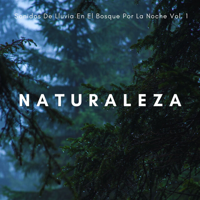 Naturaleza: Sonidos De Lluvia En El Bosque Por La Noche Vol. 1