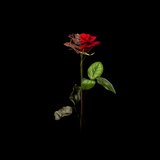 All Night (feat. Karmaria)