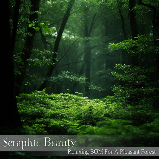 Relaxing BGM For A Pleasant Forest
