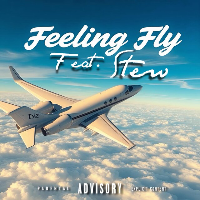 Feeling Fly
