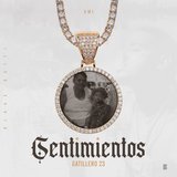 Sentimientos