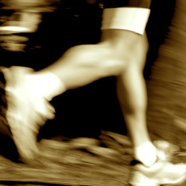 VitesseJogging