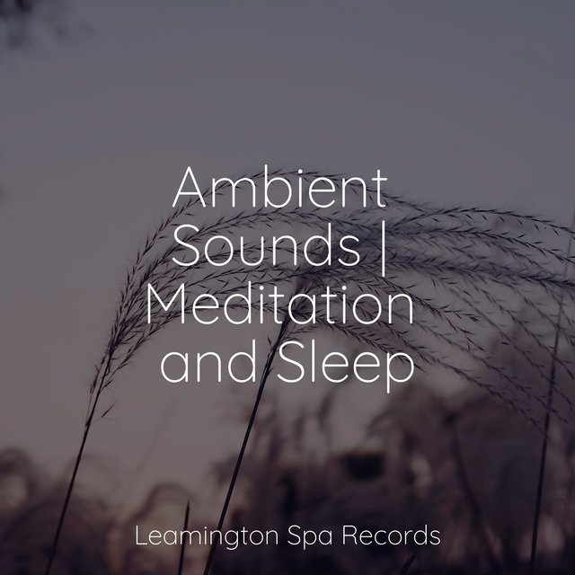 Ambient Sounds | Meditation and Sleep