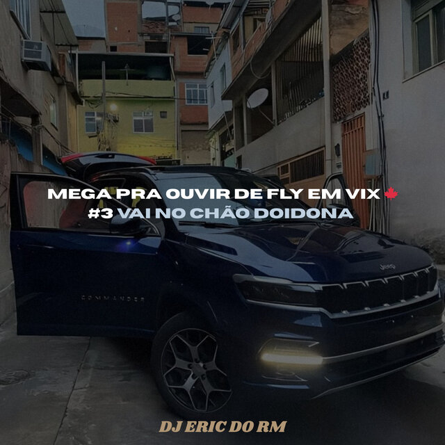 MEGA PRA OUVIR DE FLY EM VIX #3 VAI NO CHÃO DOIDONA