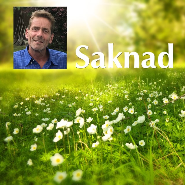 Saknad