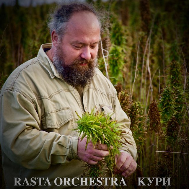Кури