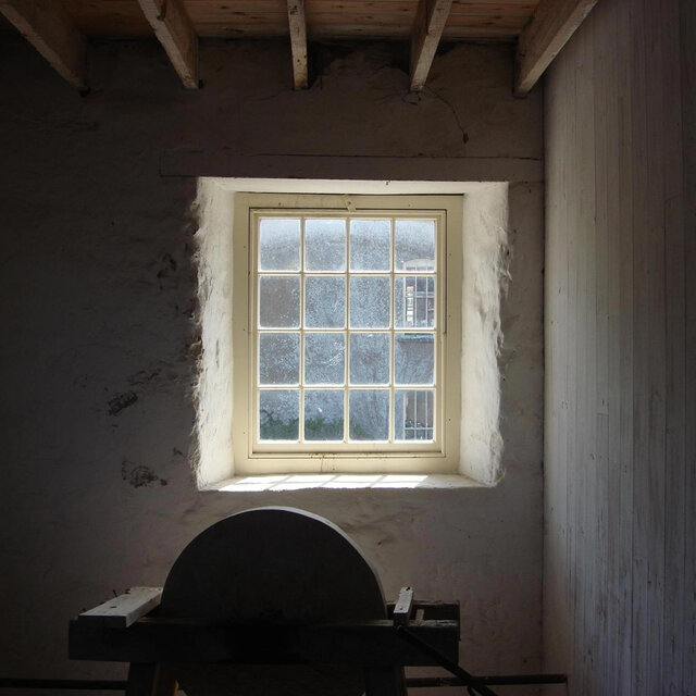 A Window into the Psalms