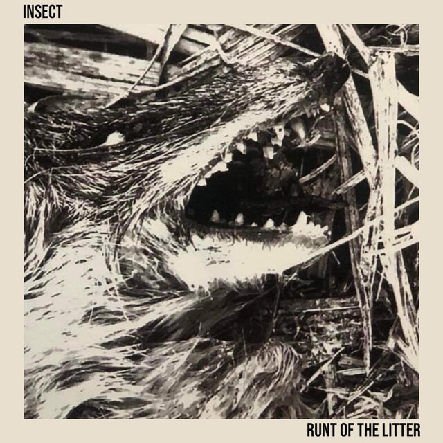 Runt Of The Litter