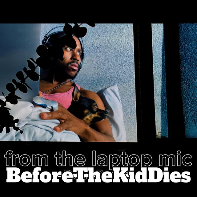 from the laptop mic