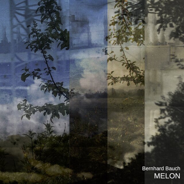 Cover art for album Melon by Bernhard Bauch
