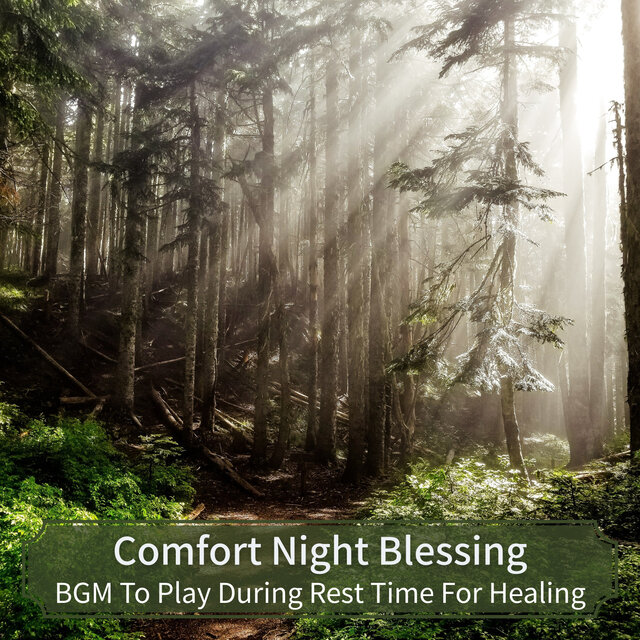 BGM To Play During Rest Time For Healing