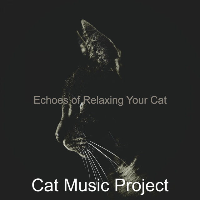 Echoes of Relaxing Your Cat