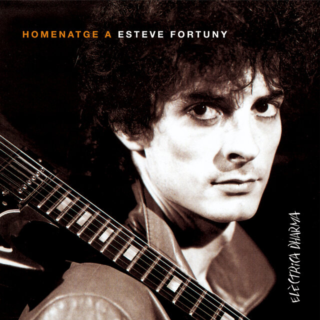 Homenatge a Esteve Fortuny