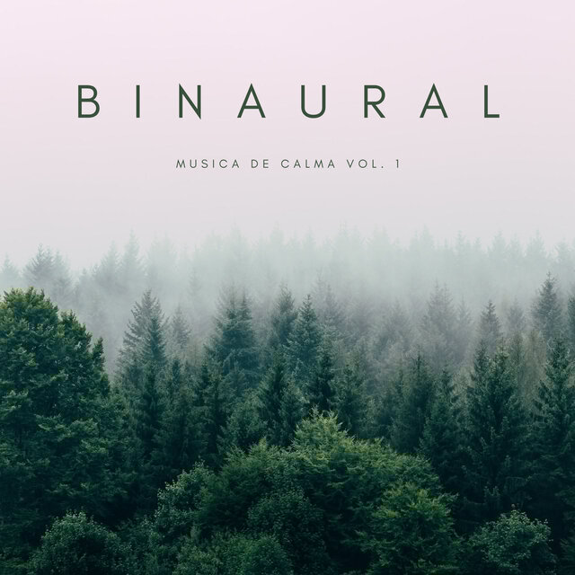 Binaural: Musica De Calma Vol. 1