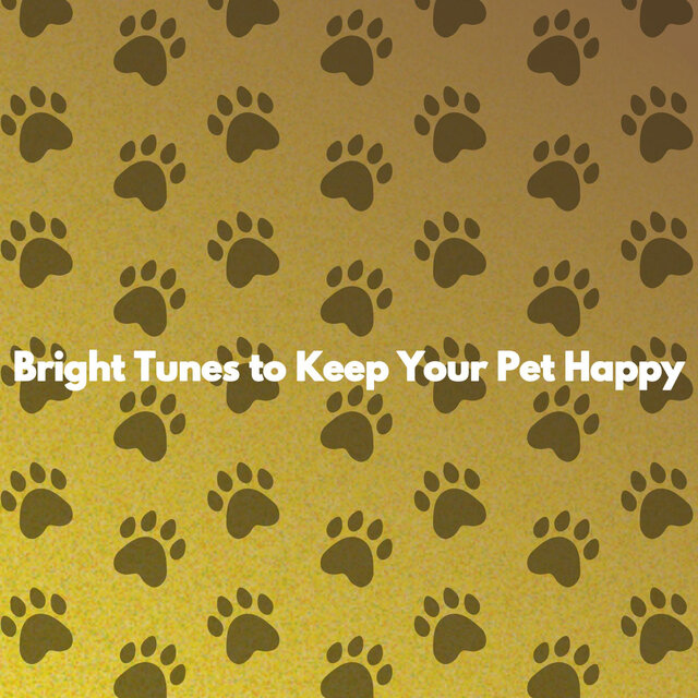 Bright Tunes to Keep Your Pet Happy