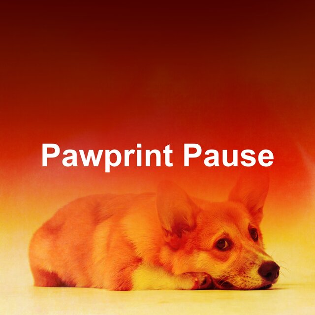Pawprint Pause
