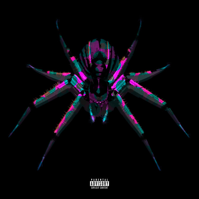 SPIDER IN THE TRAP I