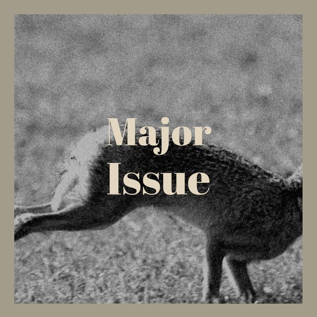 Major Issue