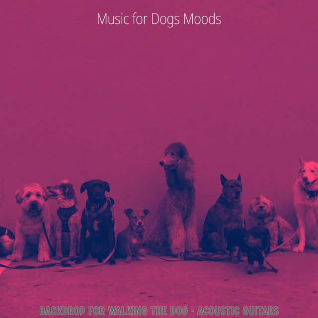 Backdrop for Walking the Dog - Acoustic Guitars