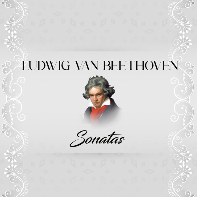 Ludwig van Beethoven, Sonatas