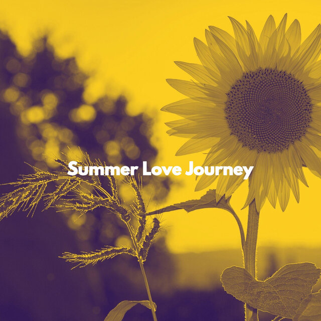 Summer Love Journey