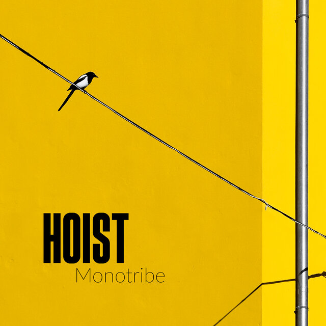 Monotribe