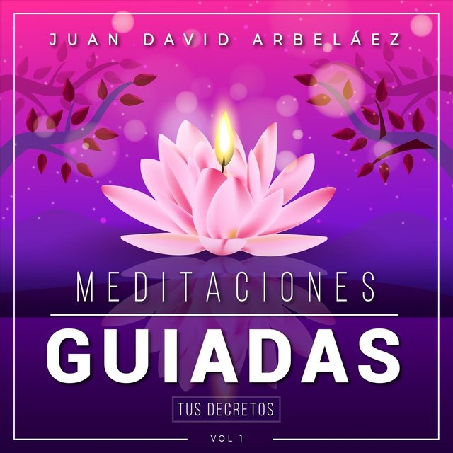 Meditaciones Guiadas, Vol 1