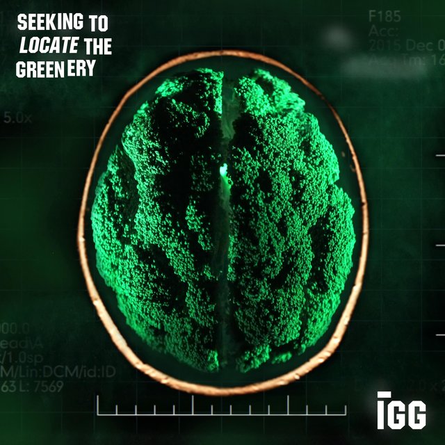 Seeking To Locate The Greenery