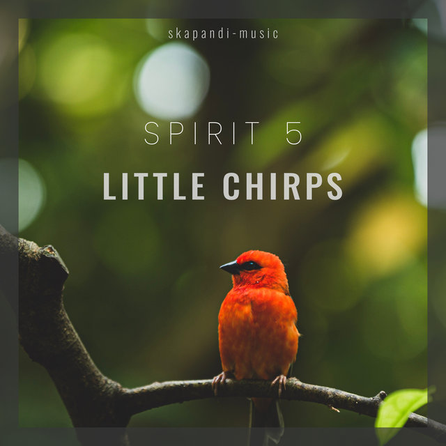 Little Chirps