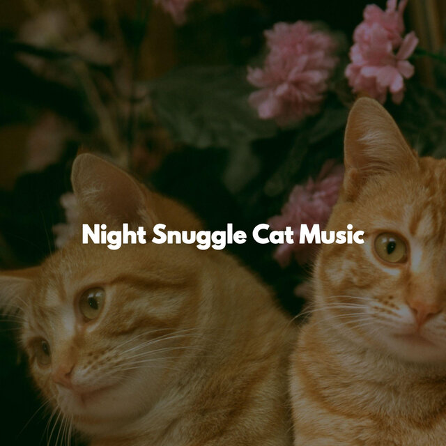 Night Snuggle Cat Music