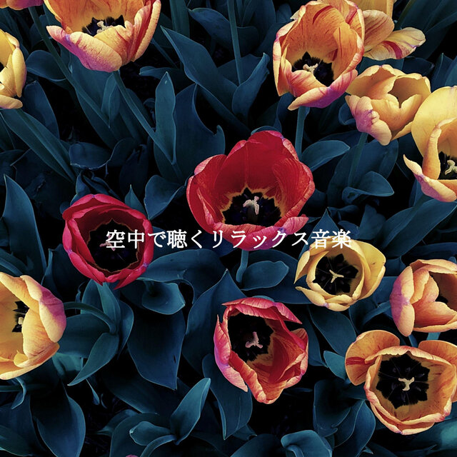 空中で聴くリラックス音楽
