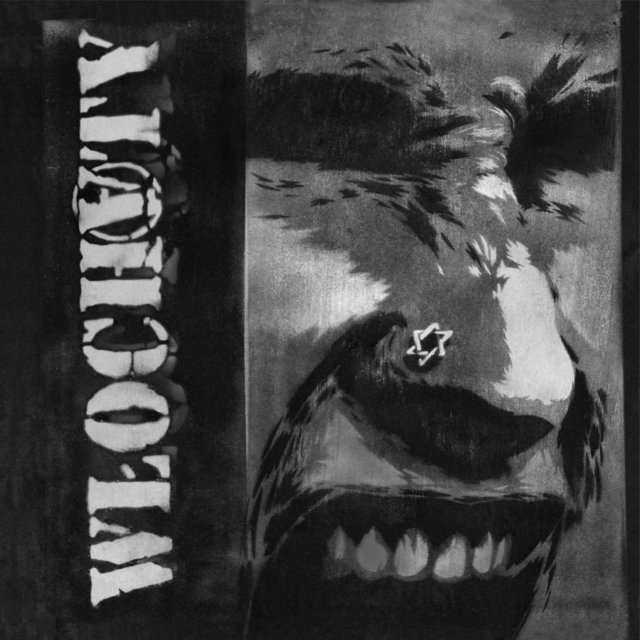 Włochaty