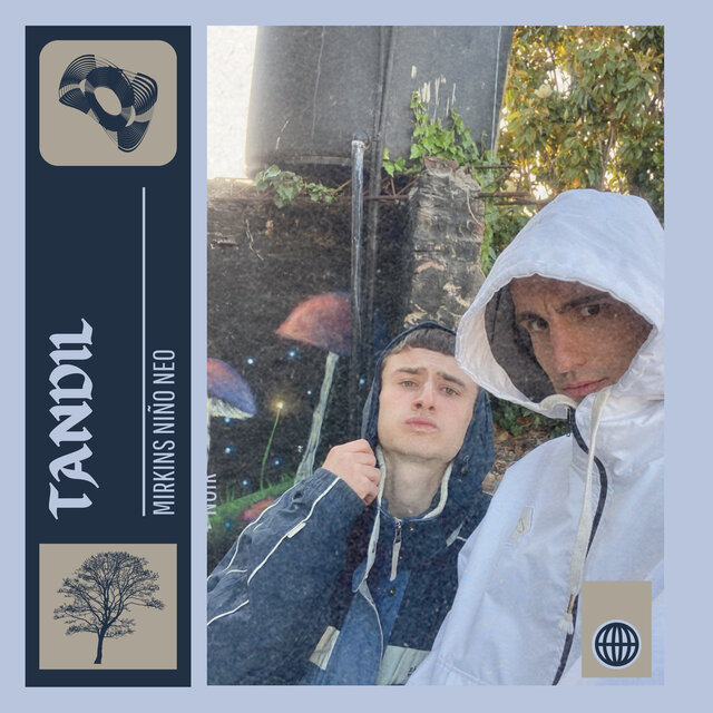Tandil