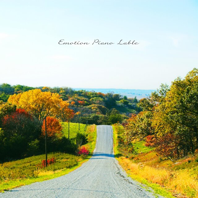 Walk The Autumn