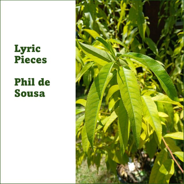 Lyric Pieces