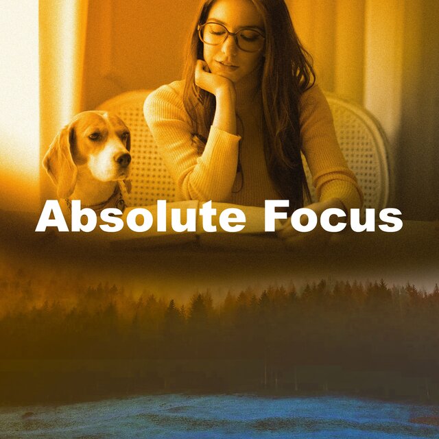 Absolute Focus