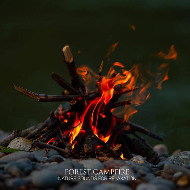 Forest Campfire: Nature Sounds for Relaxation