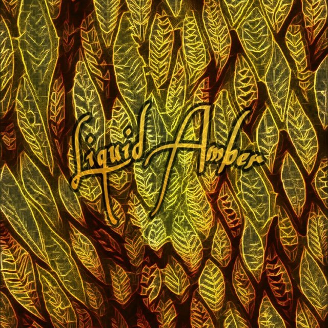Liquid Amber
