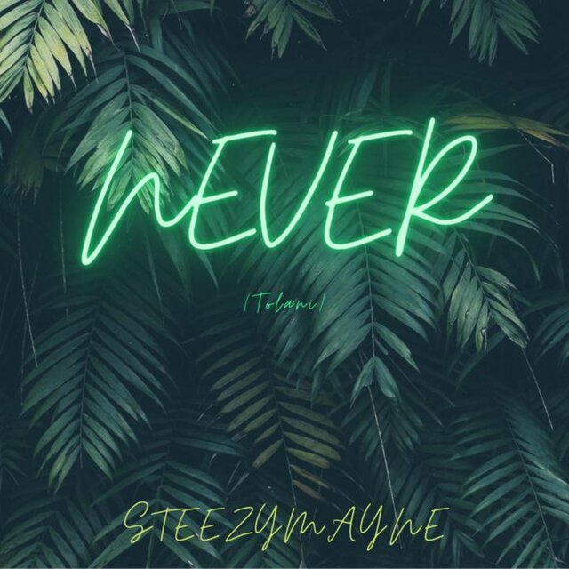 Never(Tolani)