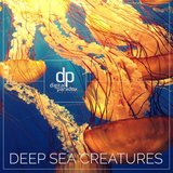 Spaces (Sabiani Remix)