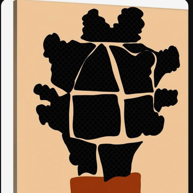 Afro