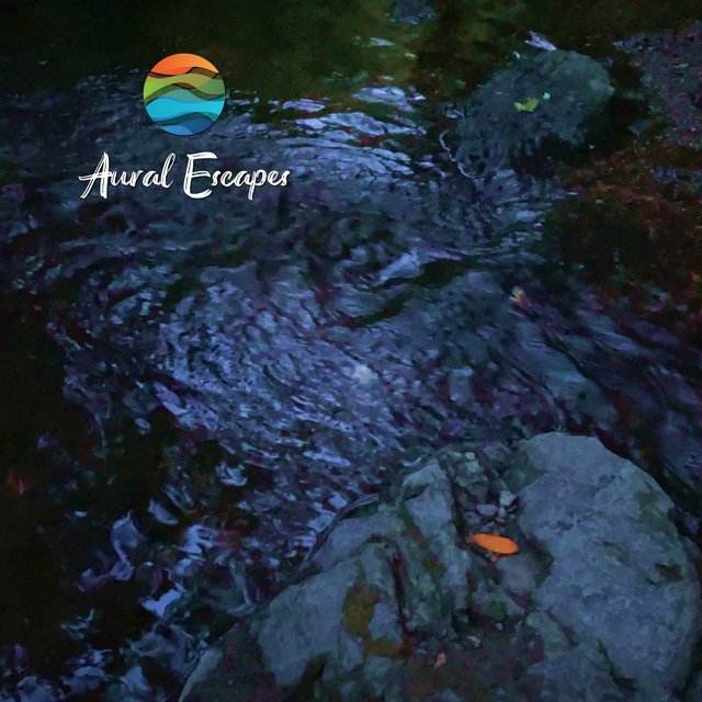 Pioneer Park Bubbling Stream