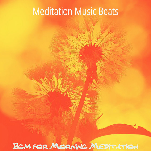 Bgm for Morning Meditation