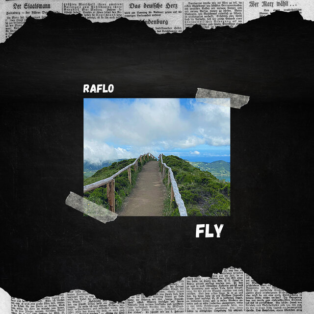 Fly