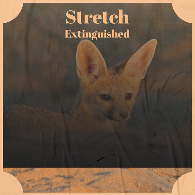 Stretch Extinguished